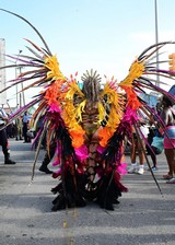 Rihanna Carnival costume